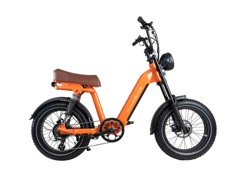 Bicicleta eléctrica en diferentes diseños
   