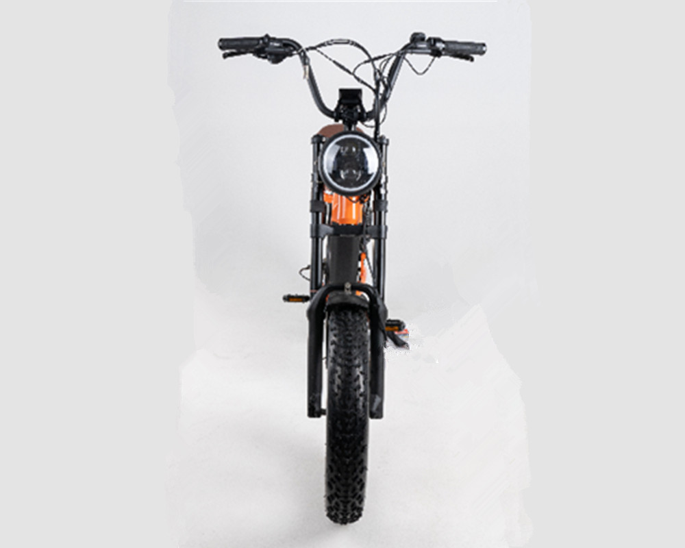 Bicicleta eléctrica estilo ciclomotor Lee9420
   