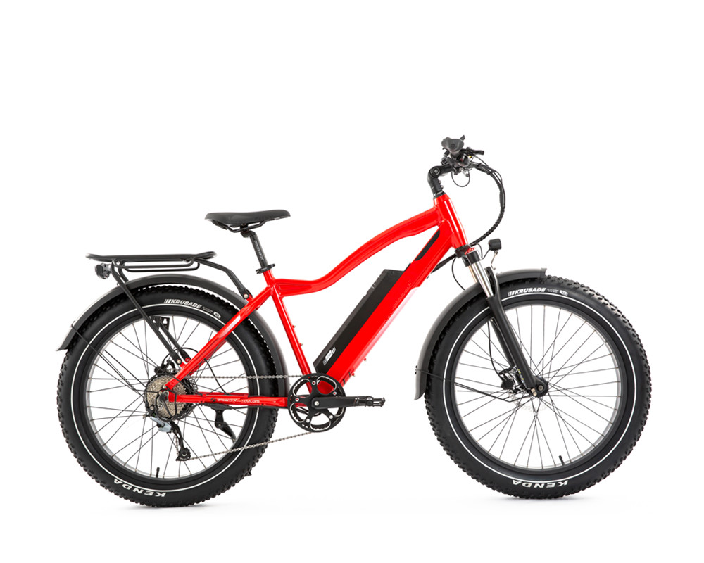 Bicicleta de montaña eléctrica Lee9050 con neumáticos anchos y motor de alta potencia
   
