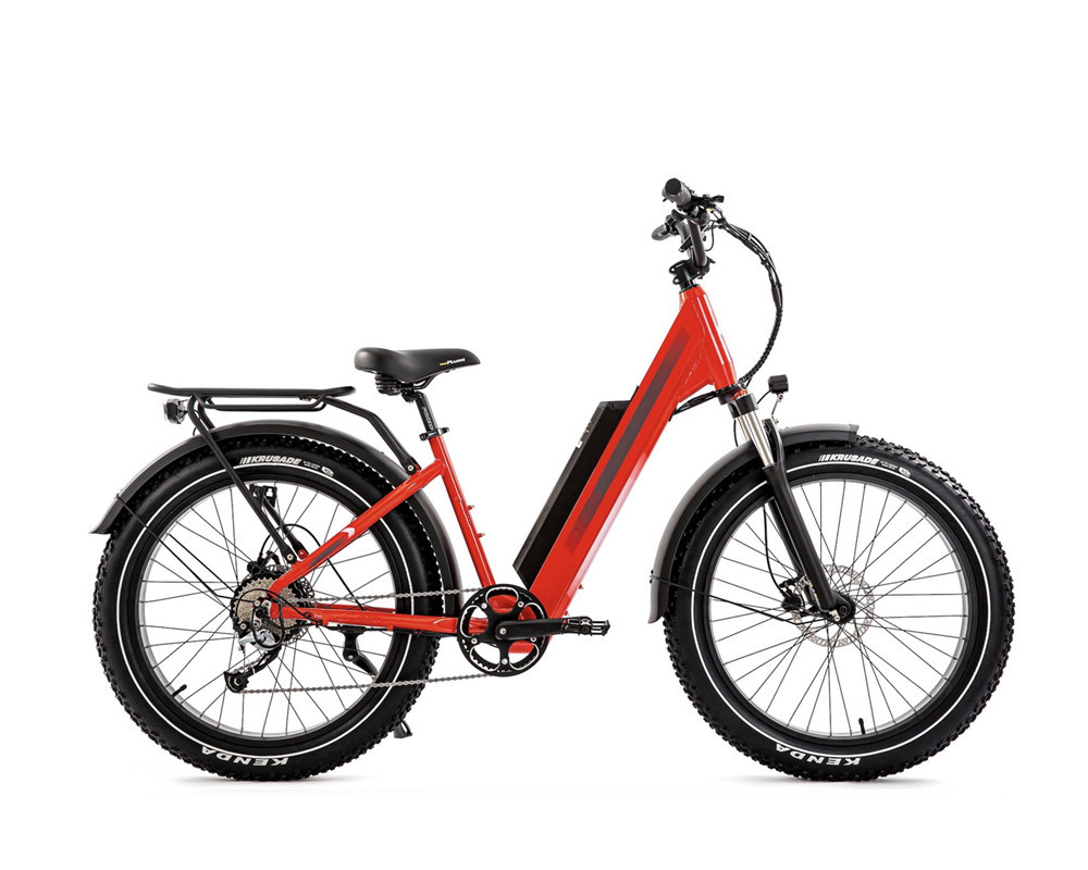Bicicleta eléctrica de montaña Lee9060 Fat Mountain
   