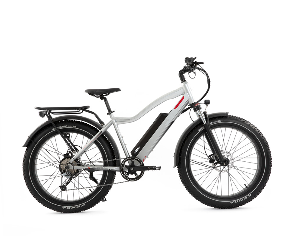 Bicicleta de montaña eléctrica Lee9050 con neumáticos anchos y motor de alta potencia
   