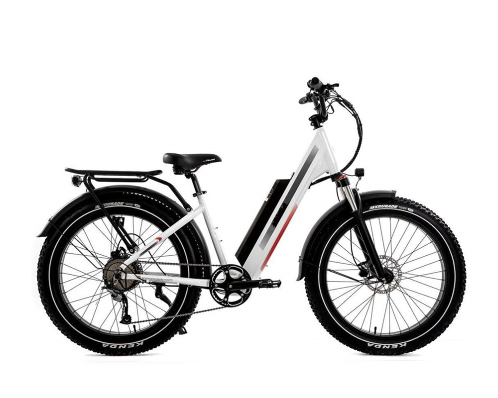 Bicicleta eléctrica de montaña Lee9060 Fat Mountain
   