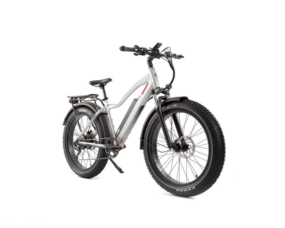Bicicleta de montaña eléctrica Lee9050 con neumáticos anchos y motor de alta potencia
   