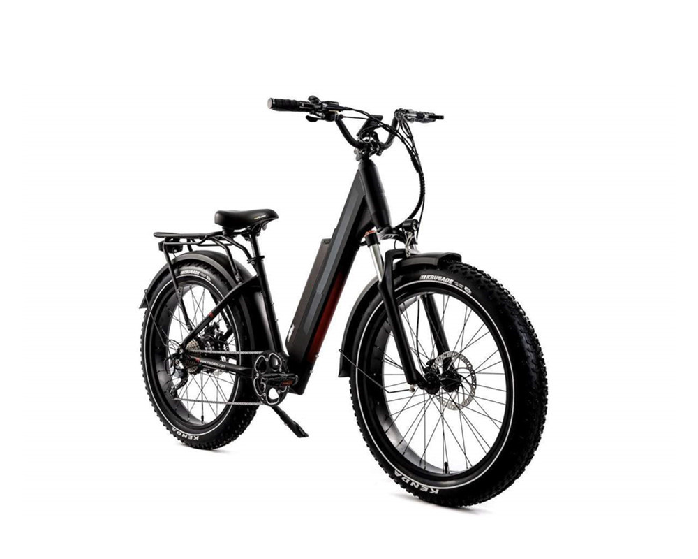 Bicicleta eléctrica de montaña Lee9060 Fat Mountain
   