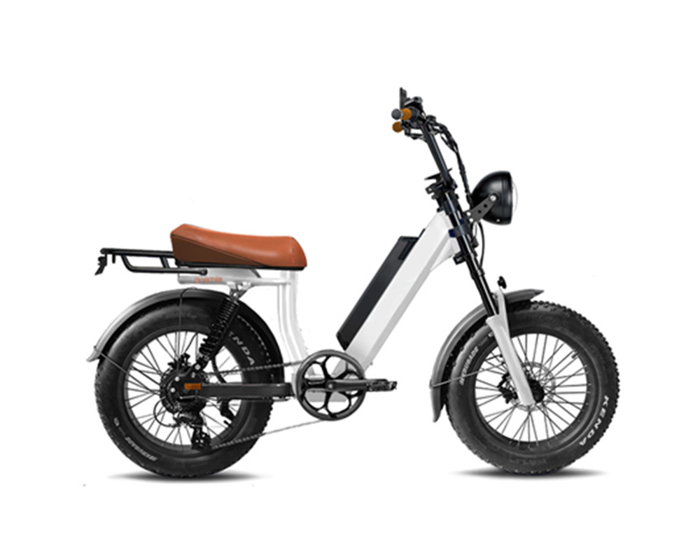 Bicicleta eléctrica de neumáticos anchos estilo ciclomotor lee9400
   