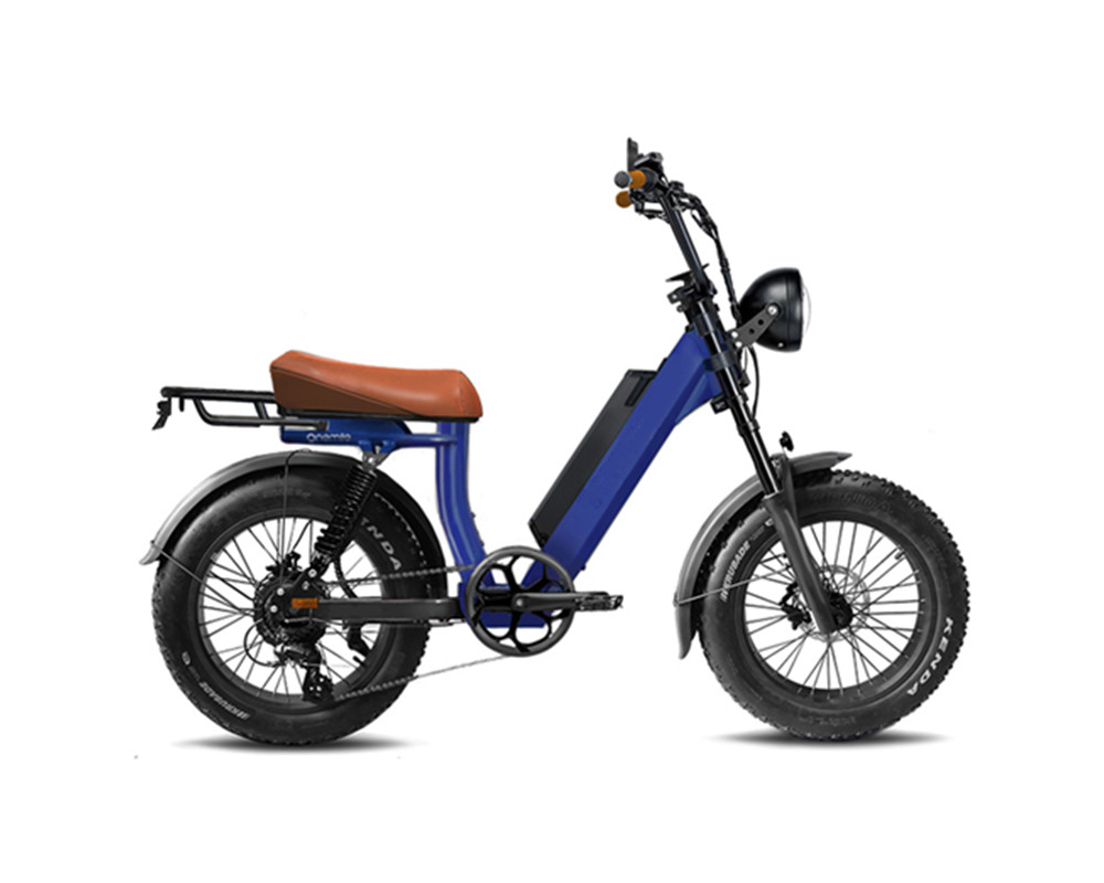 Bicicleta eléctrica de neumáticos anchos estilo ciclomotor lee9400
   