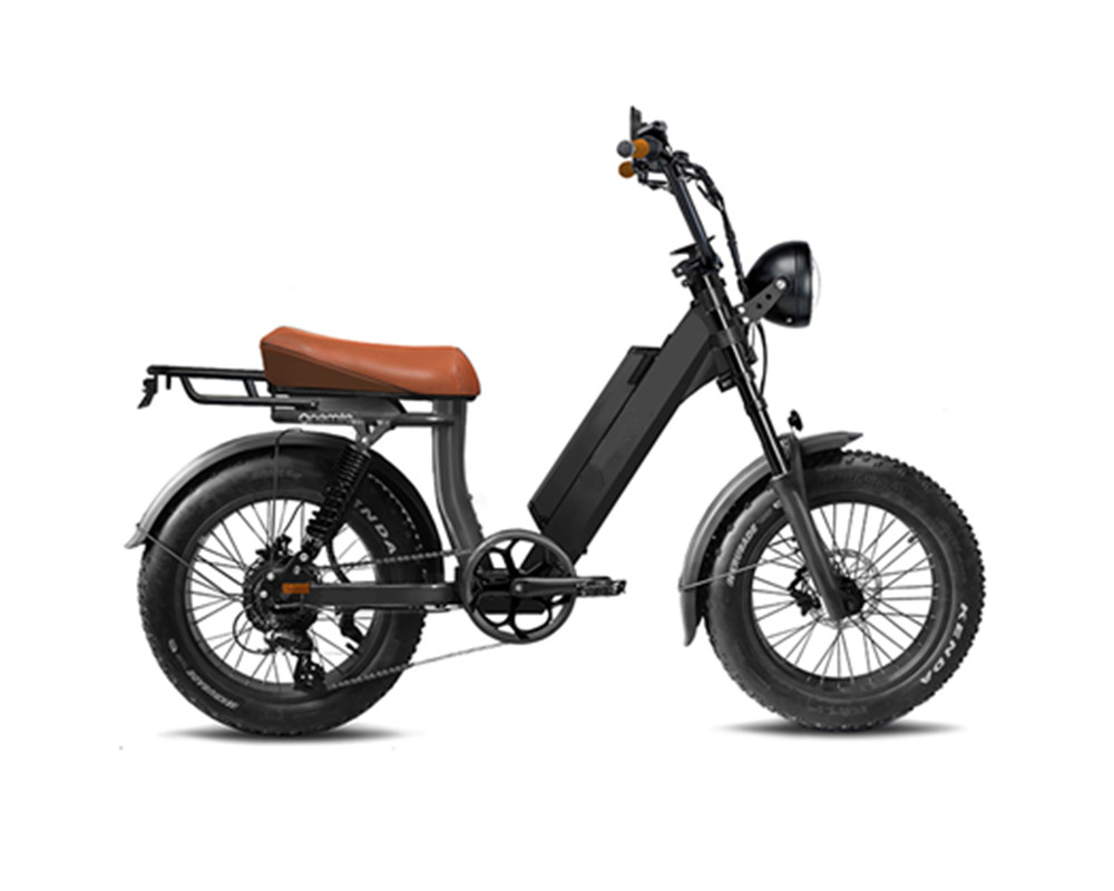 Bicicleta eléctrica de neumáticos anchos estilo ciclomotor lee9400
   