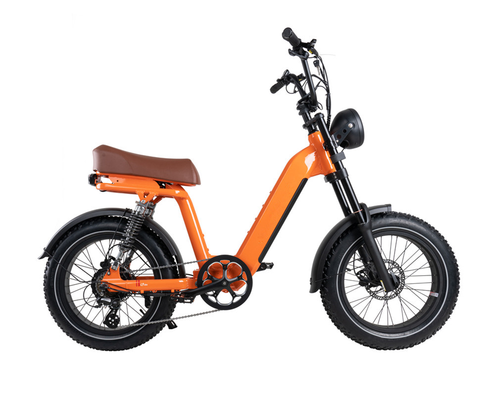 Bicicleta eléctrica estilo ciclomotor Lee9420
   