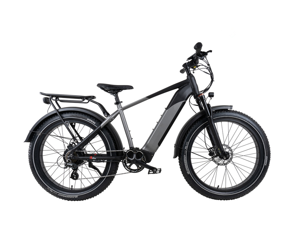 Bicicleta de montaña eléctrica con neumáticos anchos para nieve y playa lee9030
   