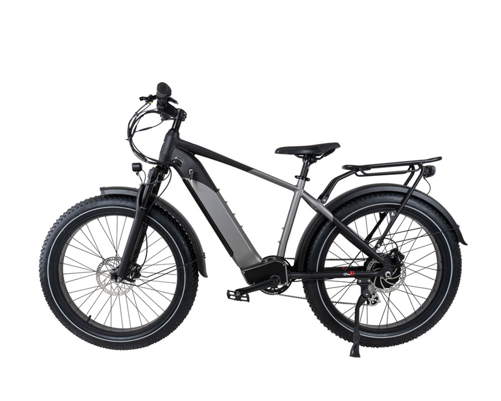 Bicicleta de montaña eléctrica con neumáticos anchos para nieve y playa lee9030
   