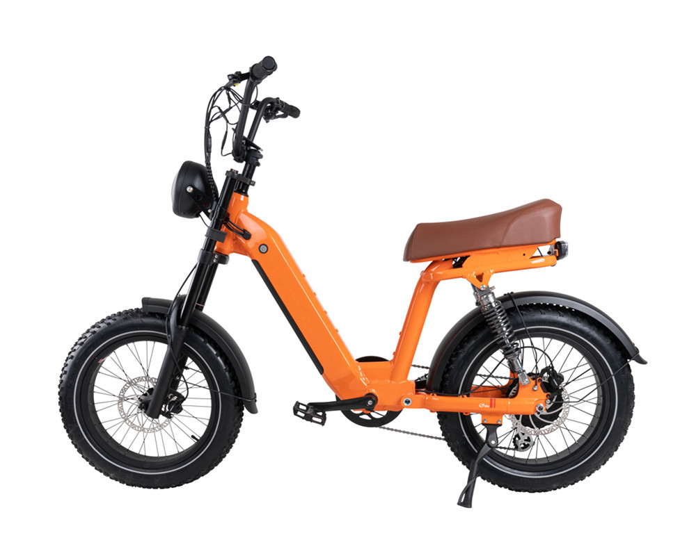 Bicicleta eléctrica estilo ciclomotor Lee9420
   
