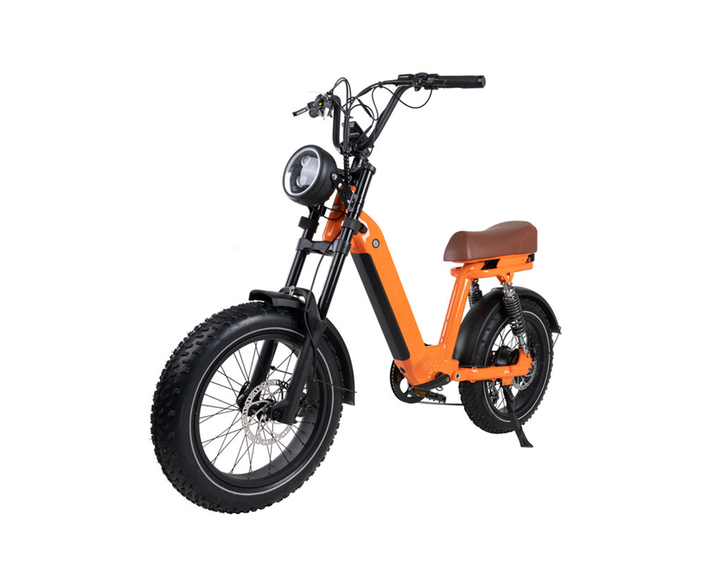 Bicicleta eléctrica estilo ciclomotor Lee9420
   