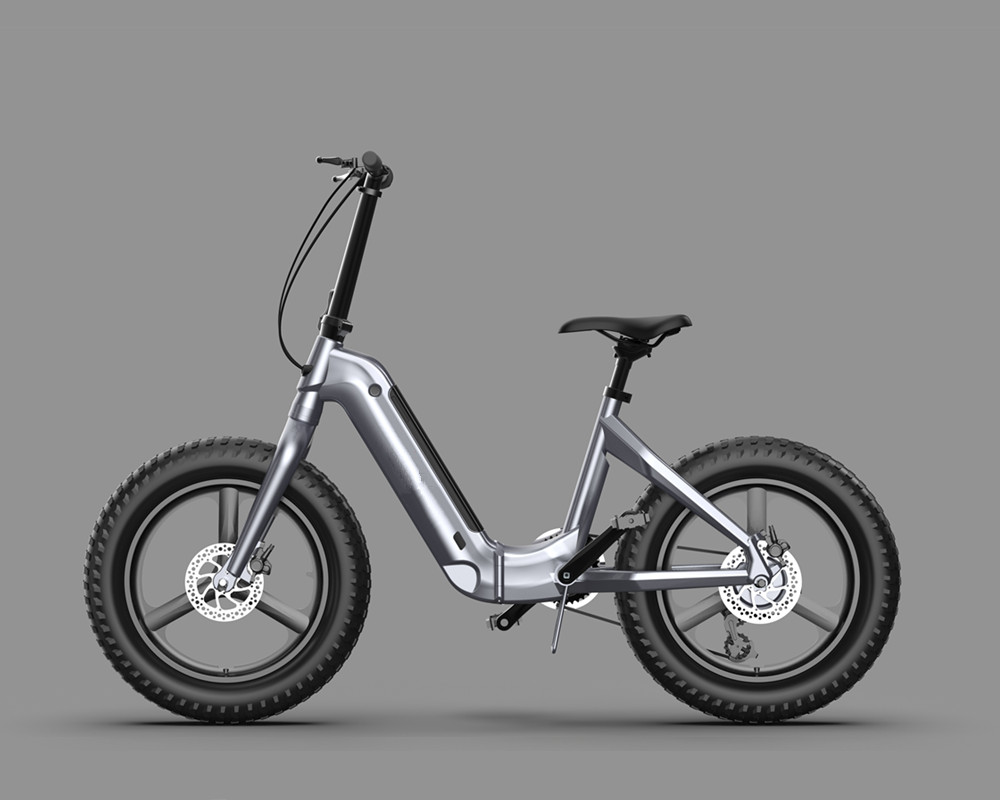 Bicicleta eléctrica plegable con neumáticos anchos lee910
   