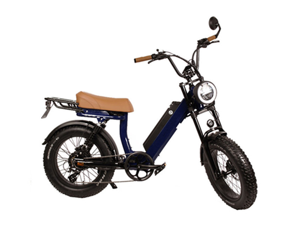 Bicicletas eléctricas utilitarias, ciclomotores eléctricos, bicicleta eléctrica con neumáticos anchos Lee9400
   