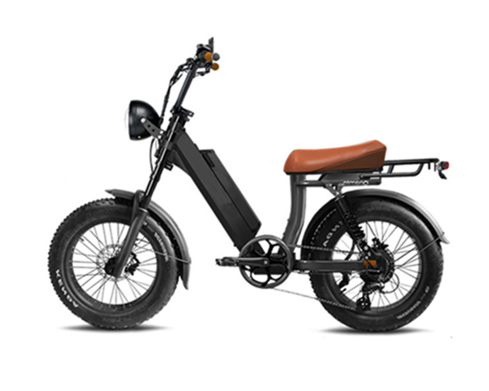 Bicicletas eléctricas utilitarias, ciclomotores eléctricos, bicicleta eléctrica con neumáticos anchos Lee9400
   