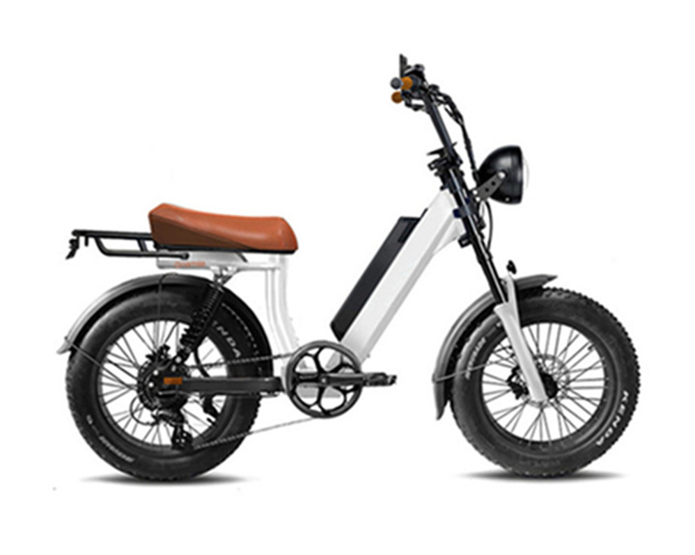 Bicicletas eléctricas utilitarias, ciclomotores eléctricos, bicicleta eléctrica con neumáticos anchos Lee9400
   