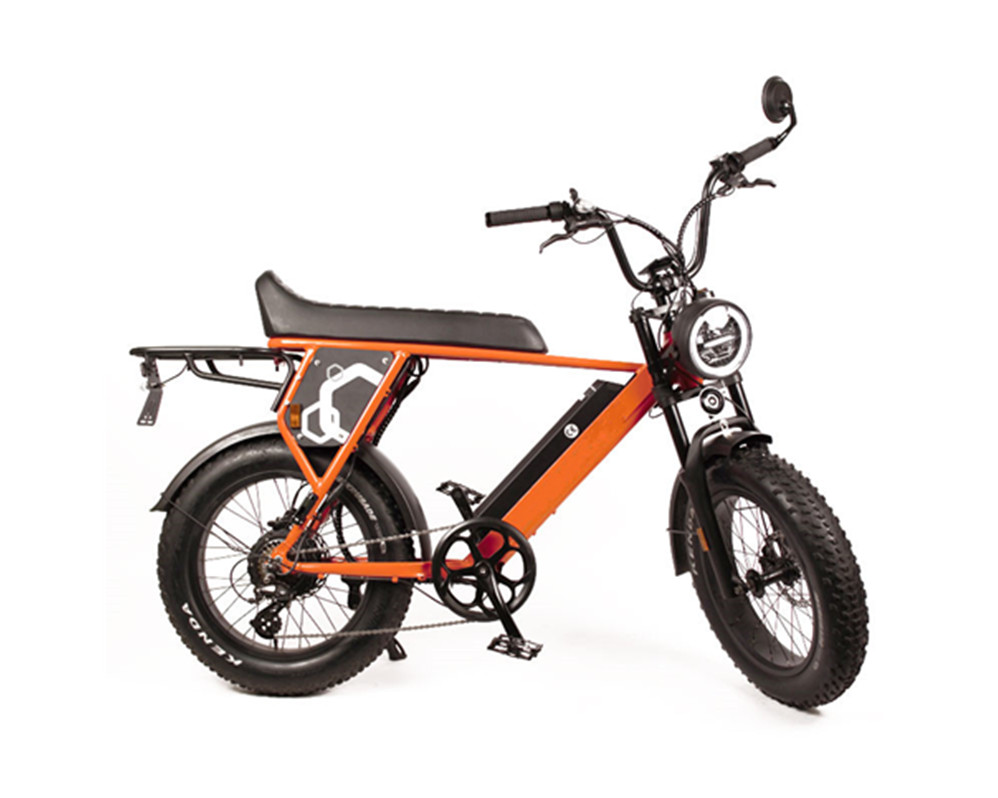 Super Electric Motorbike scrambler tipo ebike utilitaria con neumáticos anchos e bike speed Lee9410-1
   