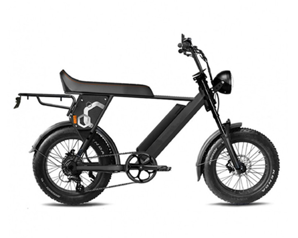 Super Electric Motorbike scrambler tipo ebike utilitaria con neumáticos anchos e bike speed Lee9410-1
   