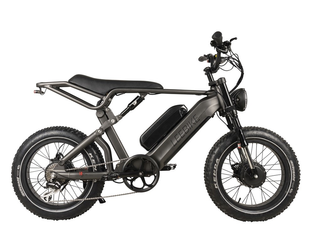 Bicicleta eléctrica de doble motor y doble batería con neumáticos anchos Lee953
   