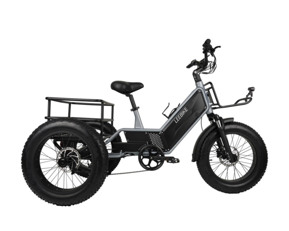 Triciclo eléctrico de 3 ruedas con batería oculta LEE992
   