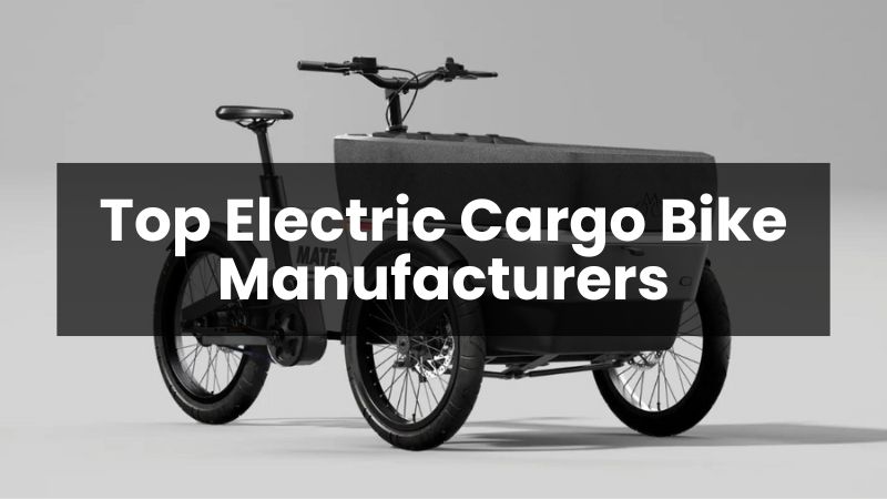Los 10 principales fabricantes de bicicletas de carga eléctricas del mundo en 2025
   